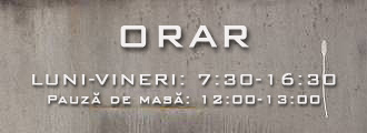 Móricz Kft. orar